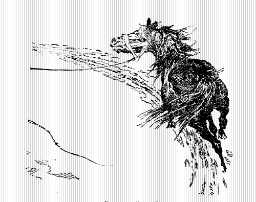 Пони Педро - i_008.png