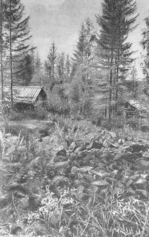 В чертогах Подкаменной Тунгуски - _006.jpg