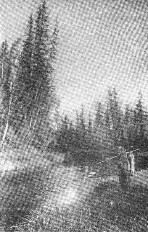 В чертогах Подкаменной Тунгуски - _007.jpg