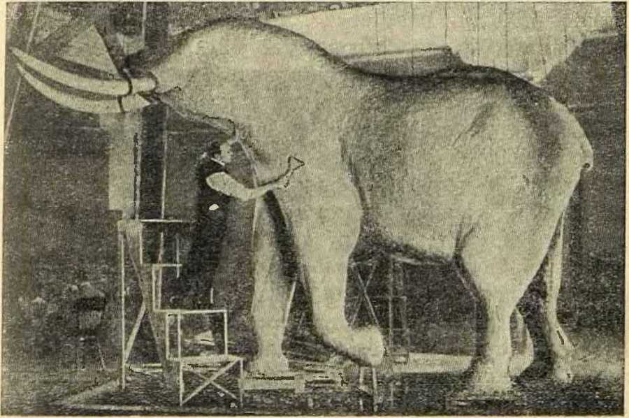 В сердце Африки - _18.jpg