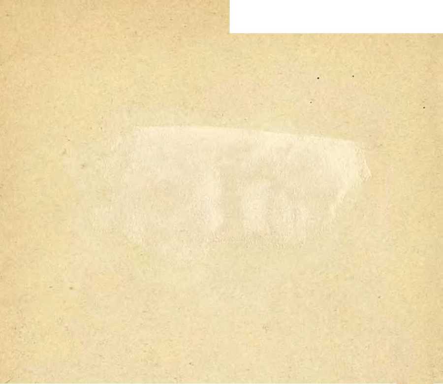 В сердце Африки - _40.jpg