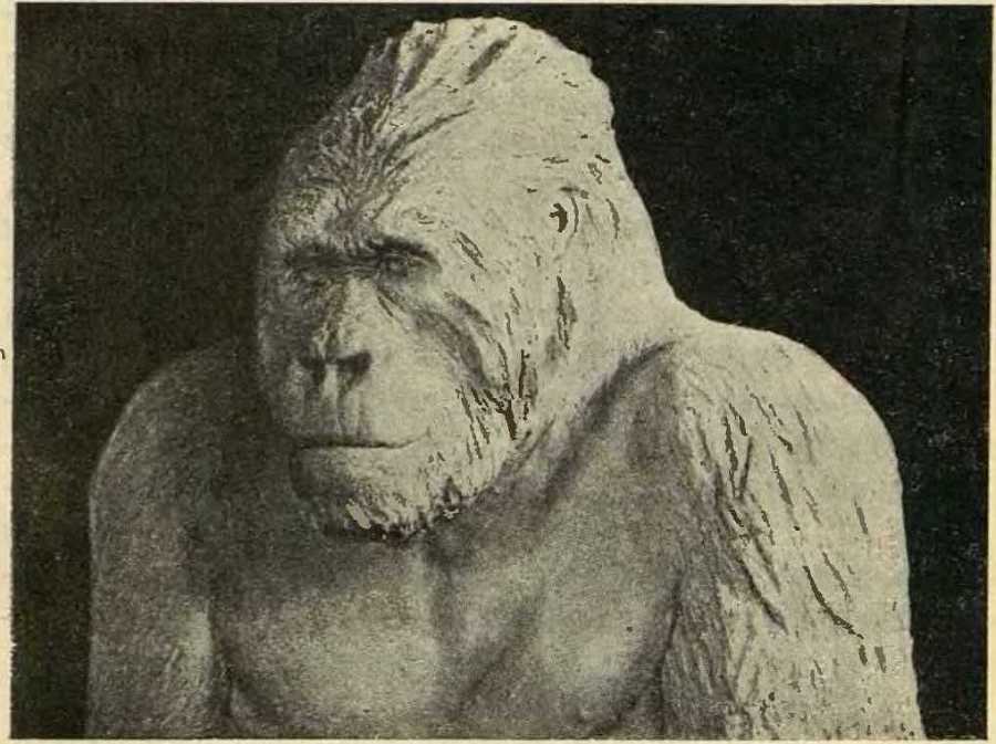 В сердце Африки - _33.jpg