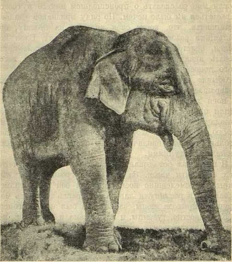 В сердце Африки - _21.jpg