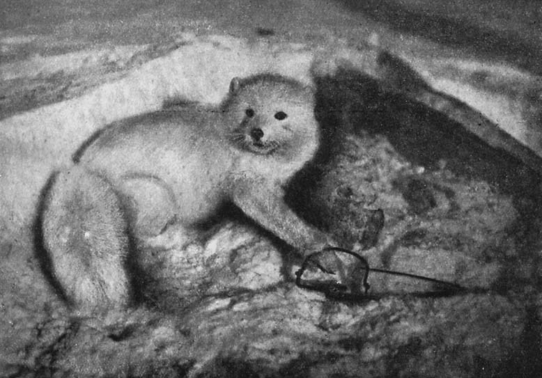 По нехоженной земле - i_006.jpg