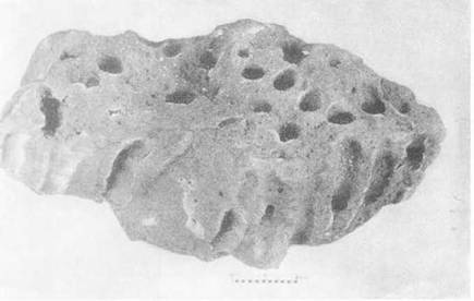 По ту сторону ночи - i_027.jpg