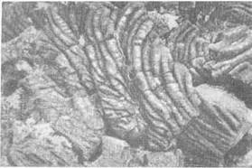 По ту сторону ночи - i_028.jpg