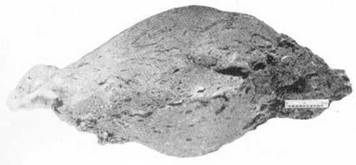 По ту сторону ночи - i_031.jpg