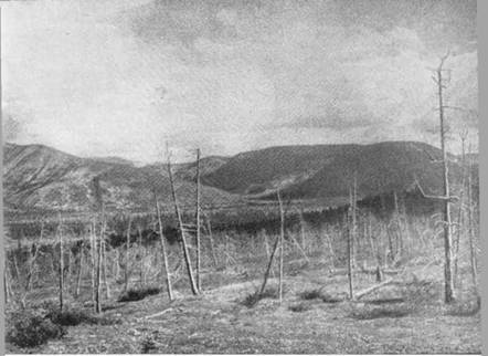 По ту сторону ночи - i_034.jpg