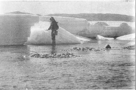 По ту сторону ночи - i_039.jpg