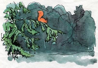 Бабушкин колобок - i_016.jpg