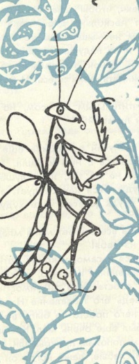 Три сказки - i_027.jpg