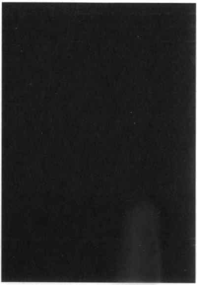 Мух уйма (Художества). Не хлебом единым (Меню-коллаж) - bahch_102.jpg