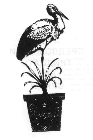 Мух уйма (Художества). Не хлебом единым (Меню-коллаж) - bahch_44.jpg