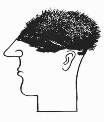 Мух уйма (Художества). Не хлебом единым (Меню-коллаж) - bahch_57.jpg