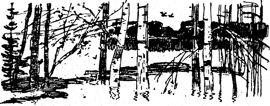 Солнечный круг - i_008.png