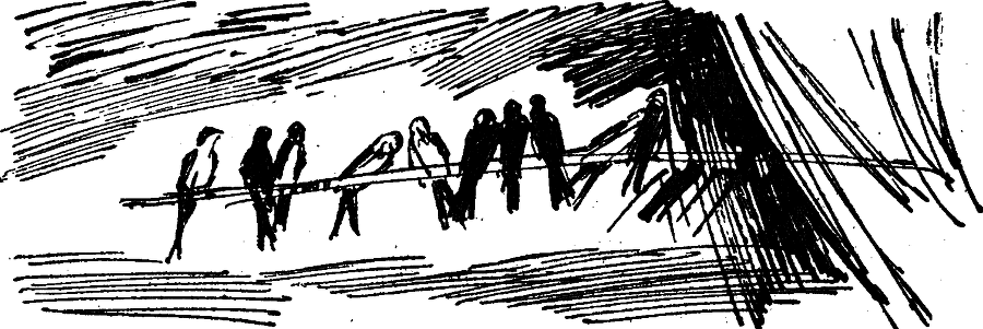 Солнечный круг - i_012.png