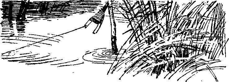 Солнечный круг - i_015.png