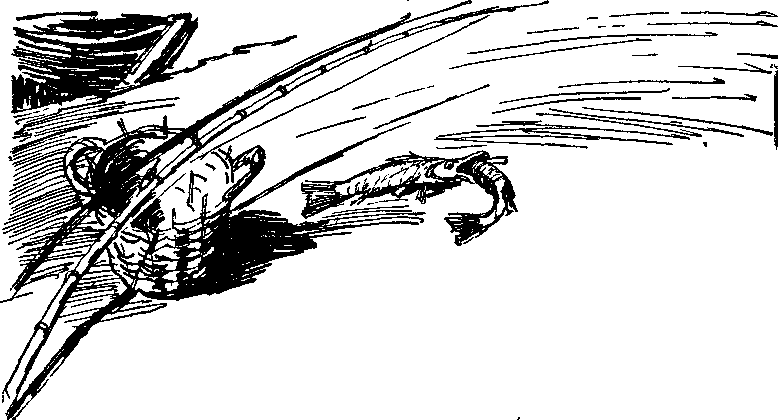 Солнечный круг - i_017.png