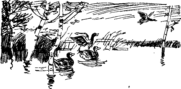 Солнечный круг - i_018.png