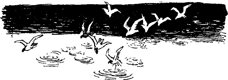 Солнечный круг - i_021.png