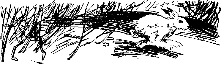 Солнечный круг - i_027.png