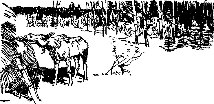 Солнечный круг - i_029.png