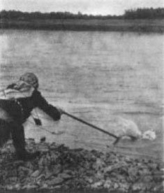 Ожерелья Джехангира - i_010.jpg