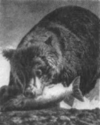 Ожерелья Джехангира - i_011.jpg