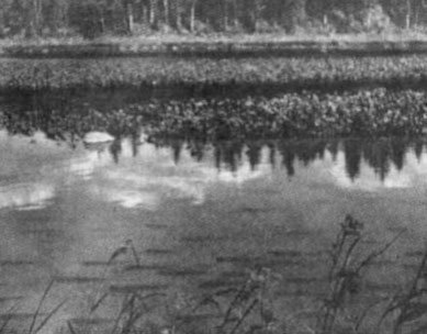 Ожерелья Джехангира - i_018.jpg