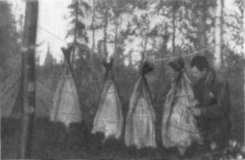 Ожерелья Джехангира - i_023.jpg