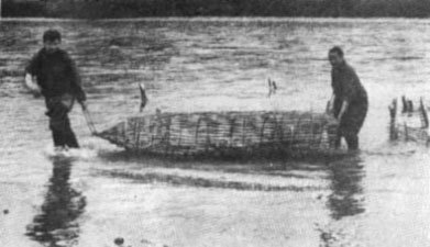 Ожерелья Джехангира - i_027.jpg