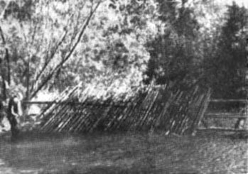 Ожерелья Джехангира - i_028.jpg