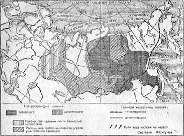 Ожерелья Джехангира - i_030.jpg