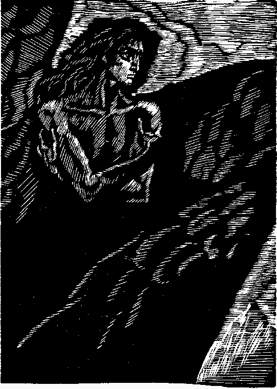 «Из пламя и света» (с иллюстрациями) - p0_0.png