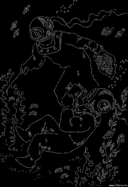 Трепанголовы - povir135.jpg