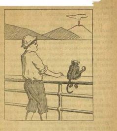 Записки обезьянки Ризы - _10.jpg