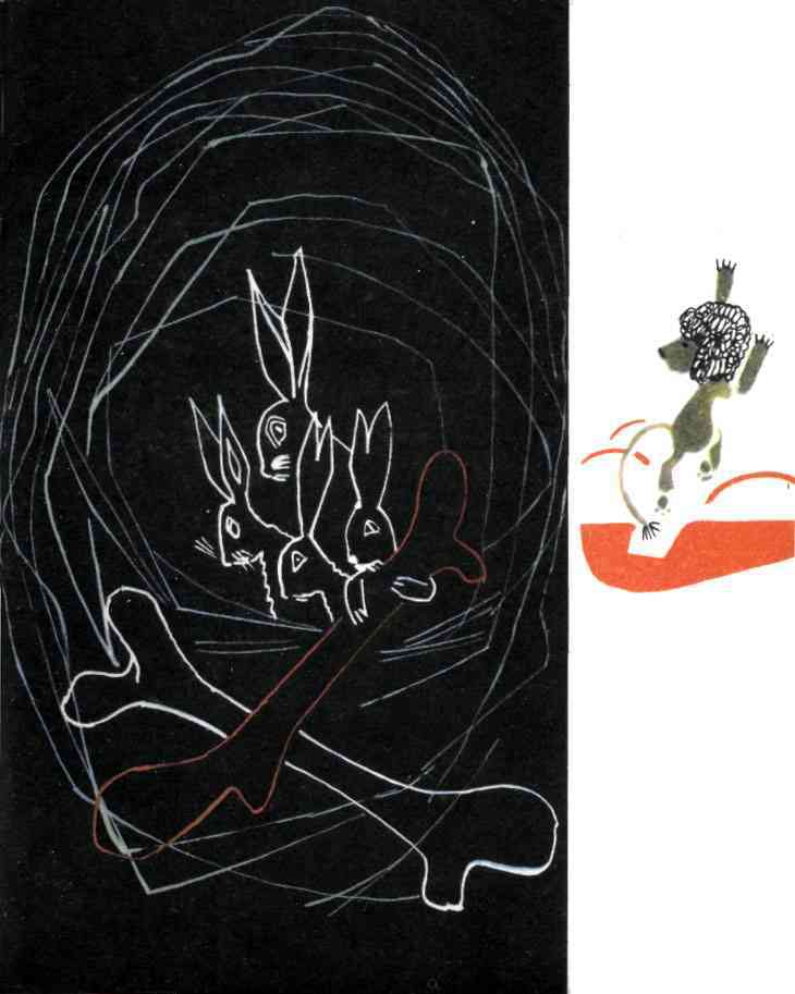 Волшебная калебаса - tmpEDE51.jpg