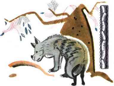 Волшебная калебаса - tmpEDE85.jpg