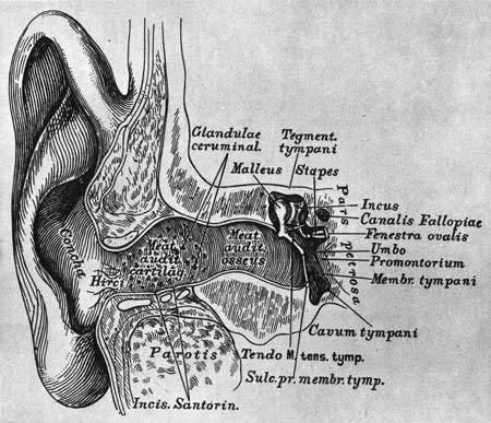 Там, где не слышно голоса - i_121.jpg