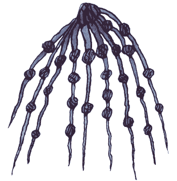 Там, где не слышно голоса - i_148.png