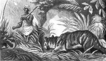 Там, где не слышно голоса - i_173.jpg