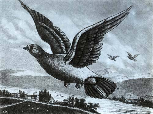 Там, где не слышно голоса - i_205.jpg