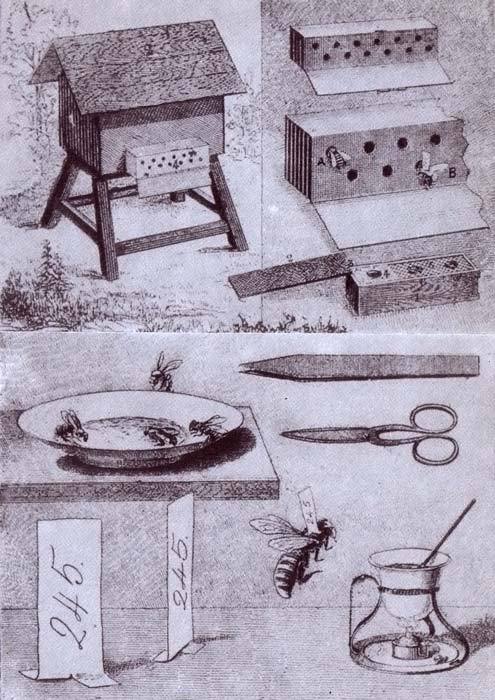 Там, где не слышно голоса - i_207.jpg