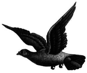 Там, где не слышно голоса - i_243.png