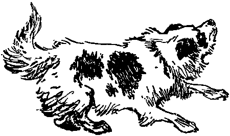 Боцман знает всё - i_067.png