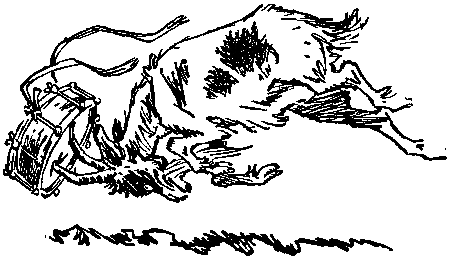 Боцман знает всё - i_079.png