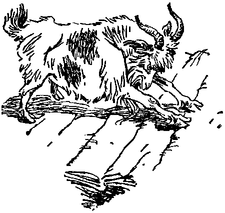 Боцман знает всё - i_105.png