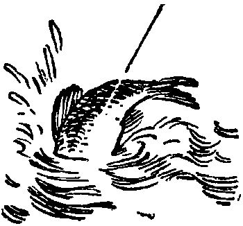 Боцман знает всё - i_124.png