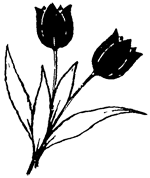 В Стране странностей - i_047.png