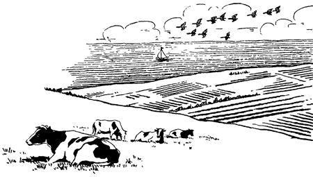 В Стране странностей - i_074.png